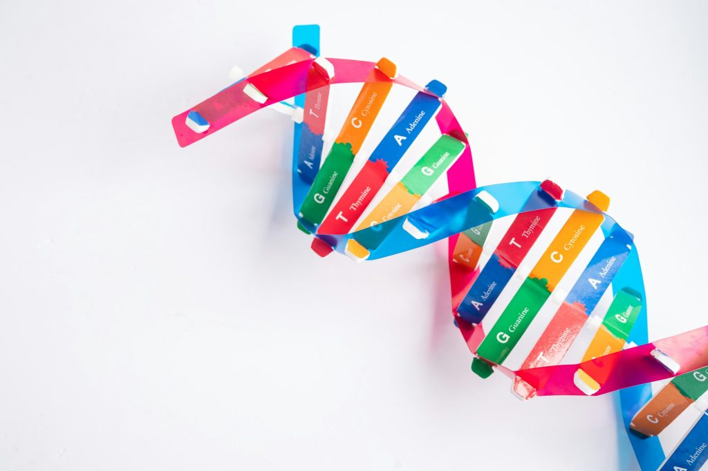 DNA or Deoxyribonucleic acid is a double helix chains structure formed