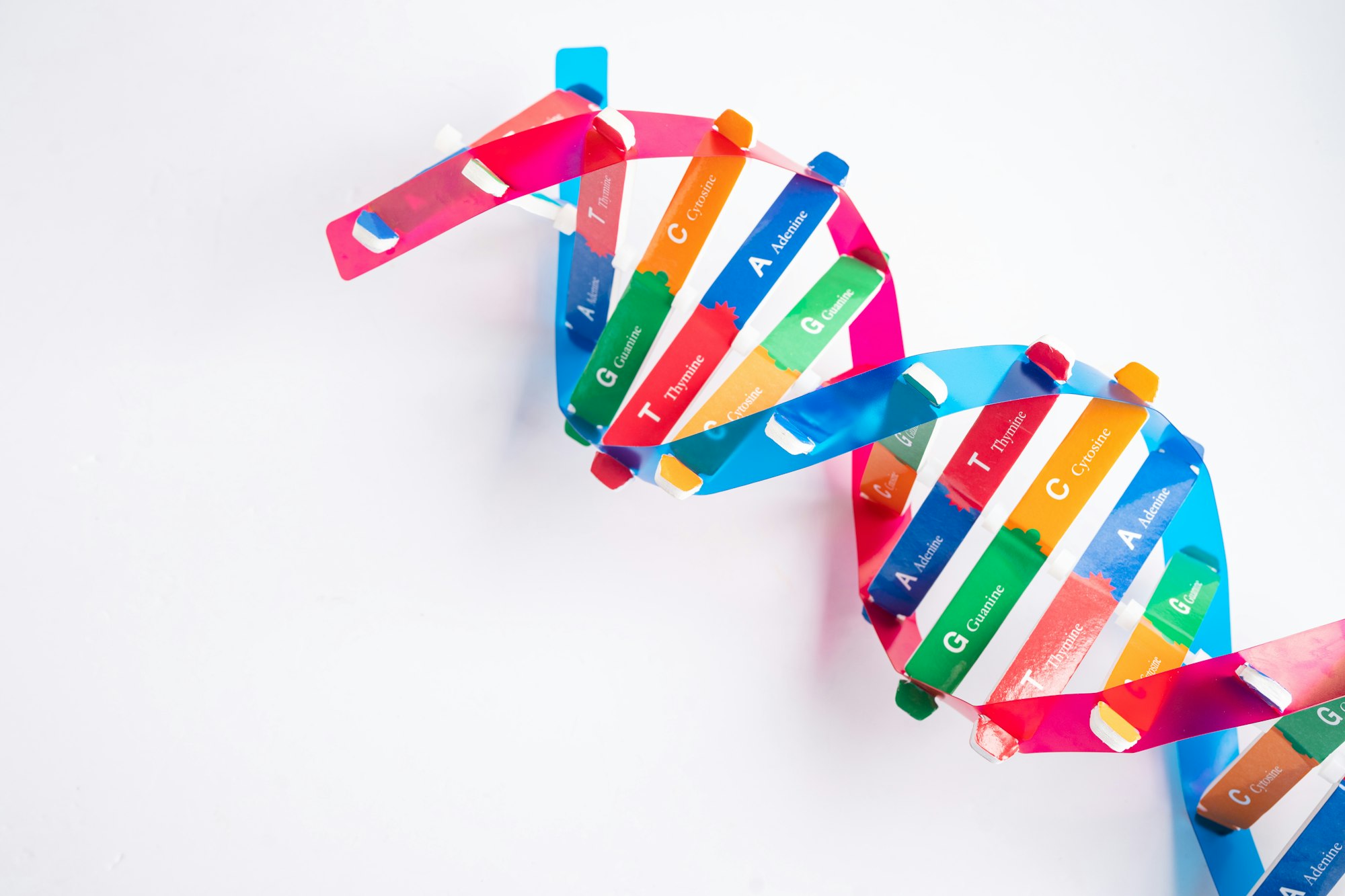 DNA or Deoxyribonucleic acid is a double helix chains structure formed